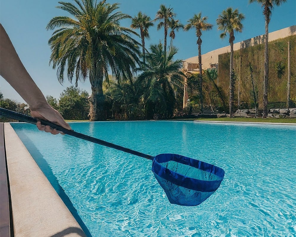 Person cleaning a crystal clear swimming pool with a net, surrounded by lush palm trees